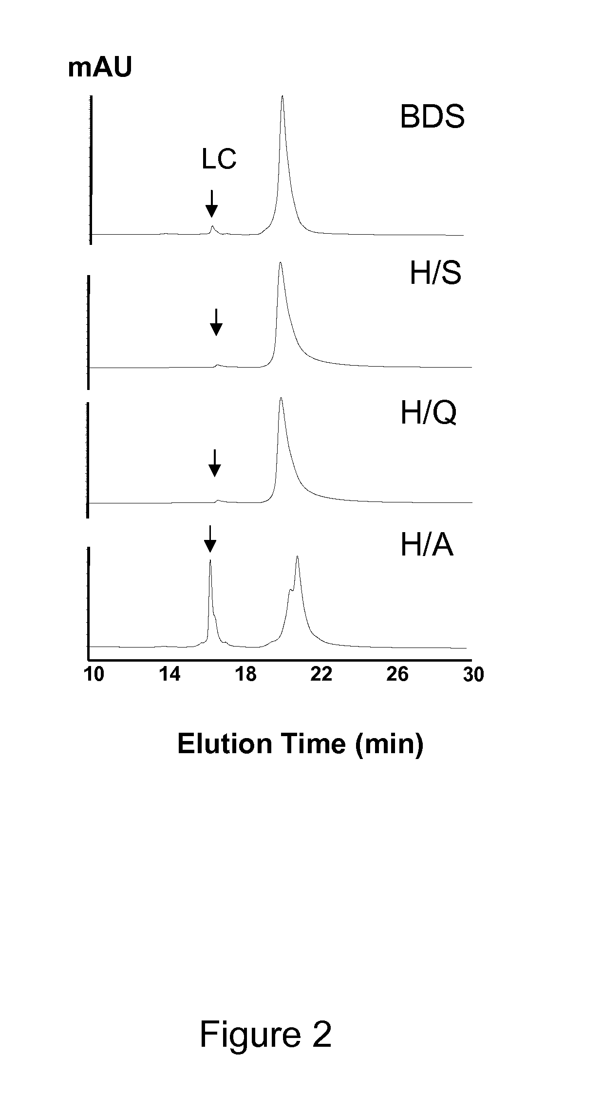 FRAGMENTATION RESISTANT IgG1 Fc-CONJUGATES