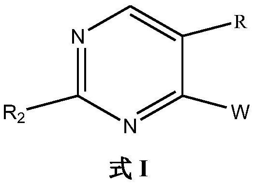 Ido inhibitor and preparation method and application thereof