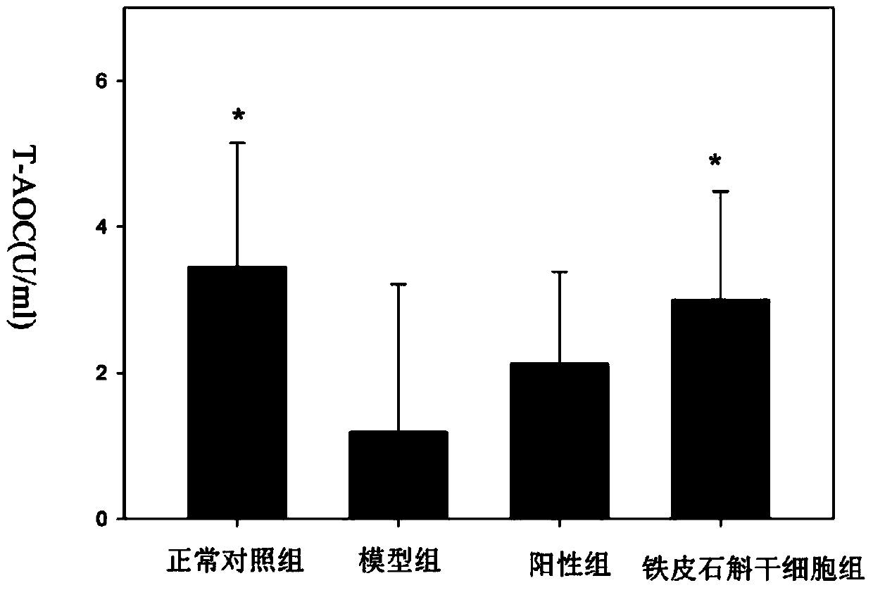 Dendrobium officinale stem cell and isolated culture method thereof