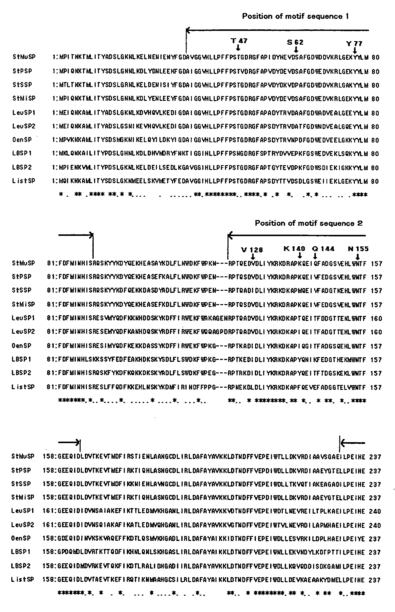 Method for Improving the Thermostability of Sucrose Phosphorylase (Sp)