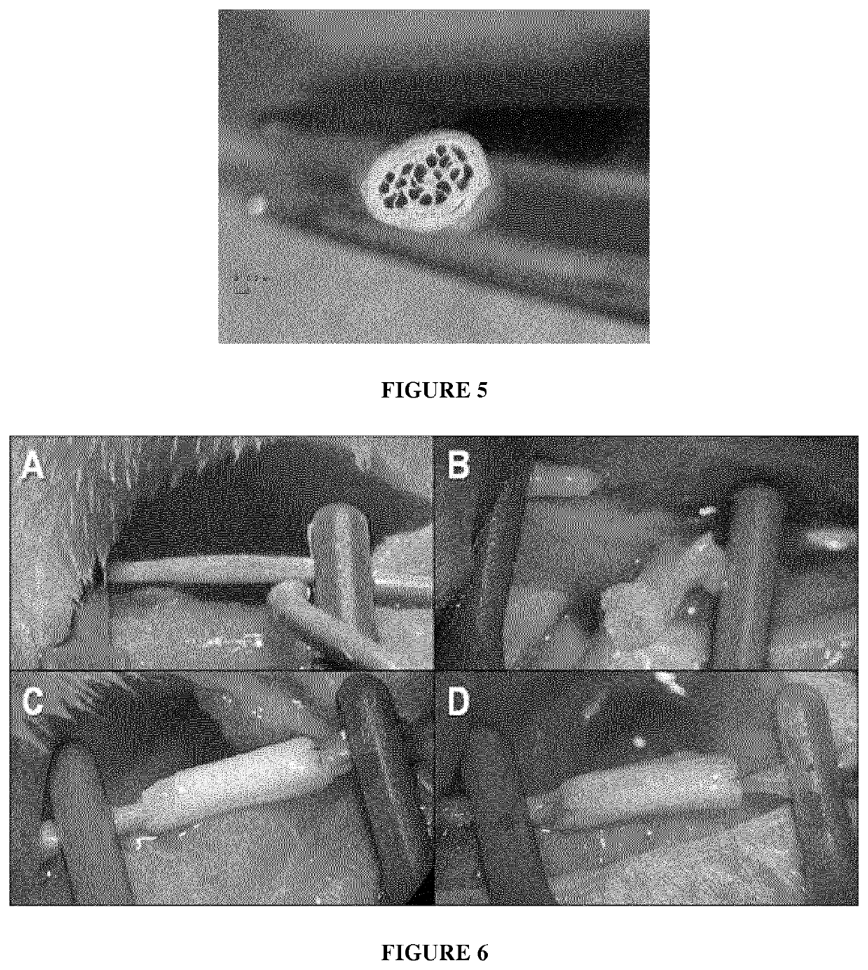 Fibrous polymer material comprising fibroin and polymer scaffolds comprising thereof