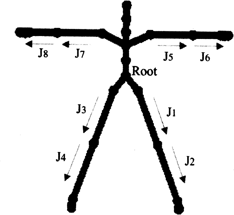 Human body motion capturing data retrieval method based on bionic pattern recognition