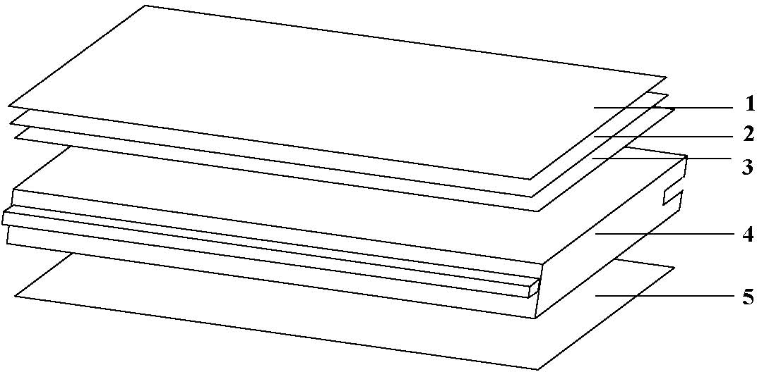 Wear-resisting anti-flaming poplar solid flooring and preparation method thereof