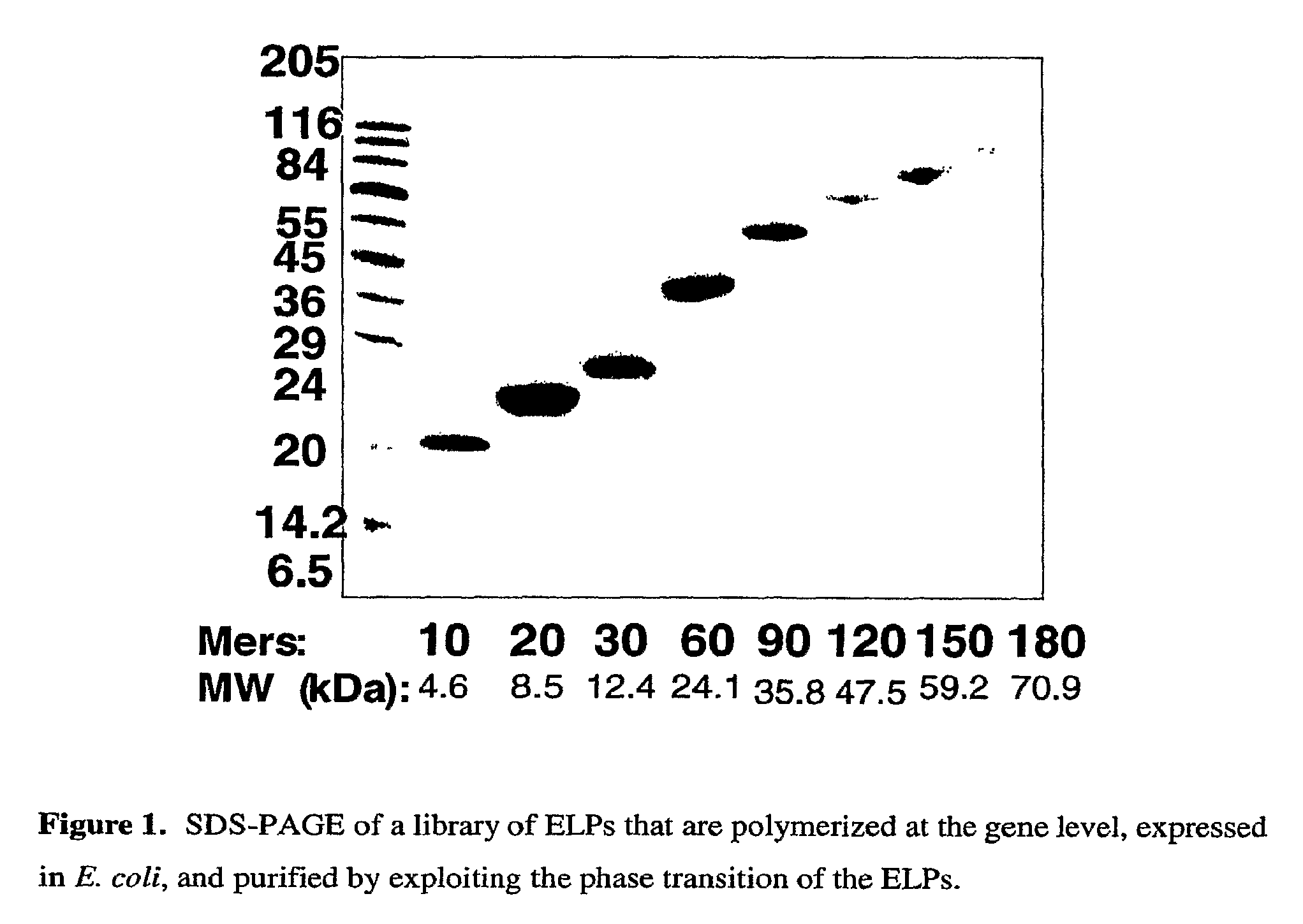 Methods and compositions for delivering active agents with enhanced pharmacological properties