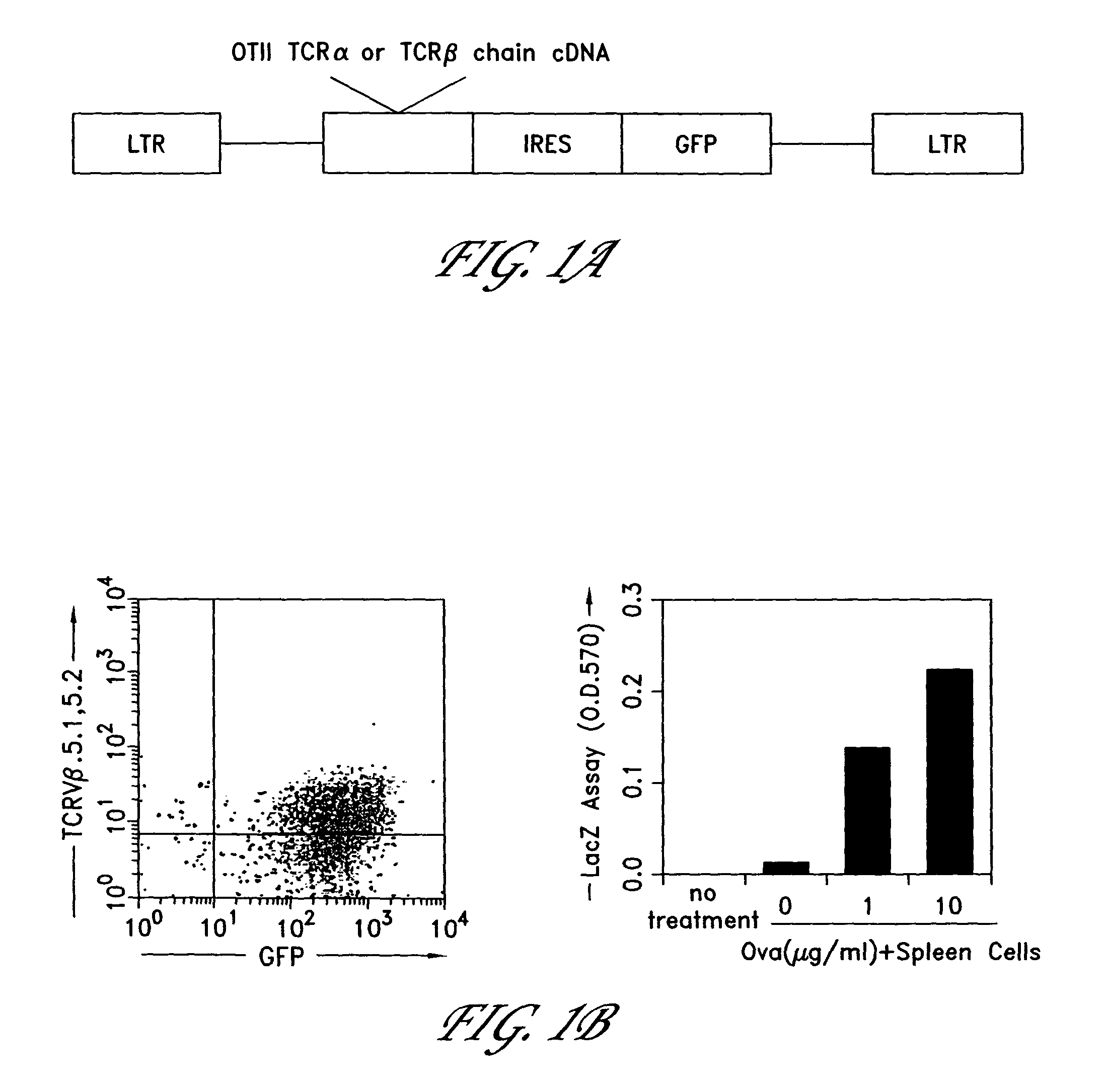 Method for the generation of antigen-specific lymphocytes