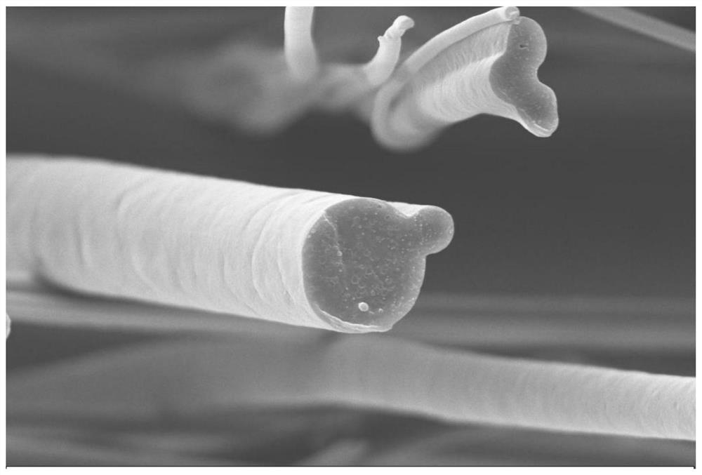 Non-woven composite material with elastic structure and preparation method of non-woven composite material