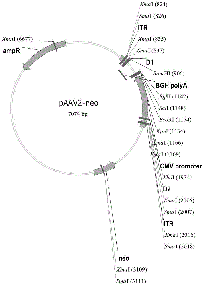 Exendin-4 fusion protein, preparation method and uses thereof