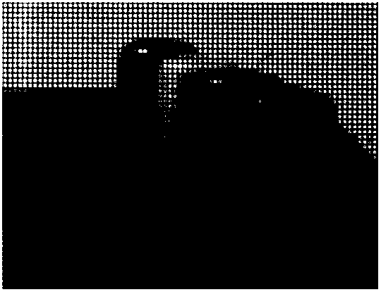 Method for directly obtaining depth image through light field camera one-time imaging