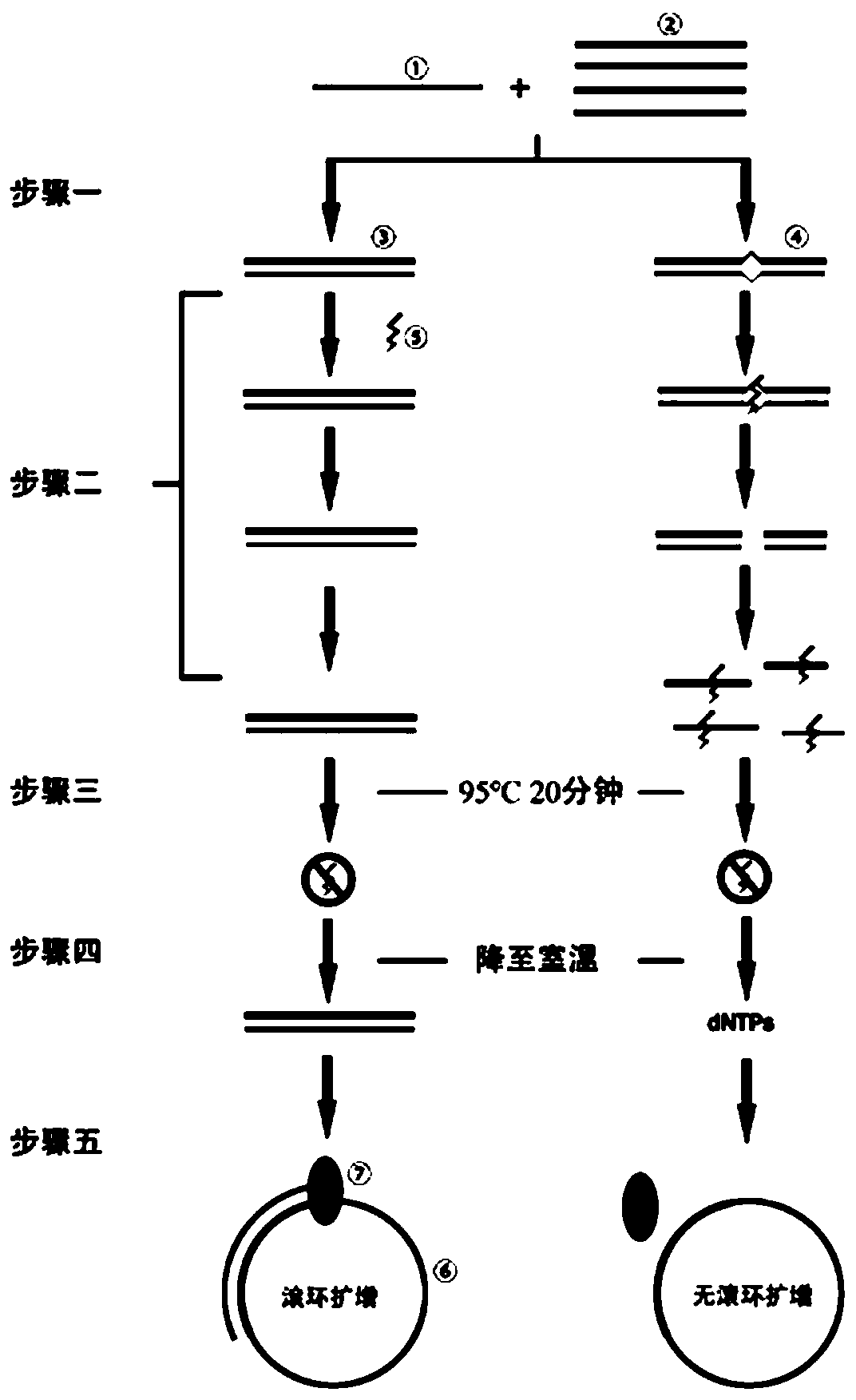 High-specificity nucleic acid detection reagent and using method thereof