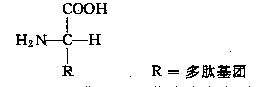 Preparation method of crosslinked chitosan/gelatin composite porous scaffold