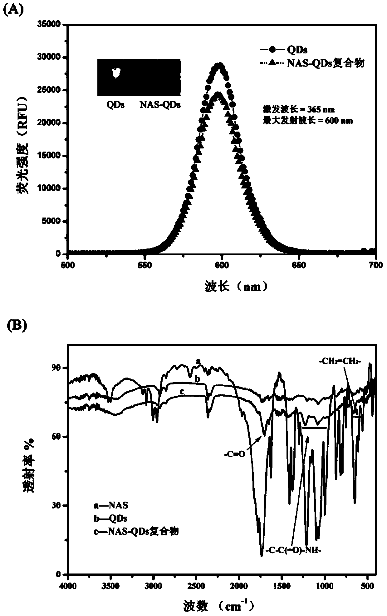 Method for detecting acrylamide in thermal processed foods by using fluorescence method based on quantum dots