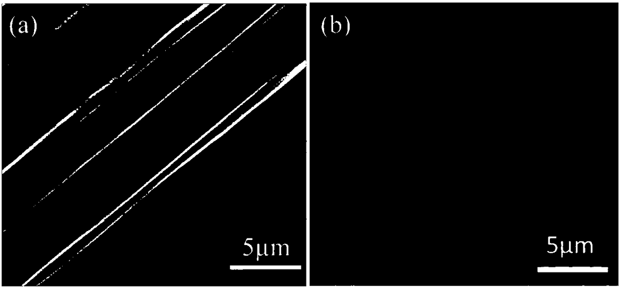 Preparation method for in-situ synthesis of CNT (carbon nano tube) modified carbon fiber reinforced resin structure-damping composite material