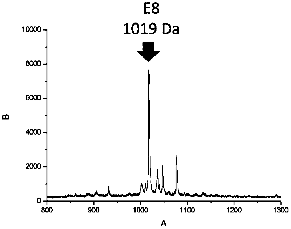 Peptides and their preparation and use