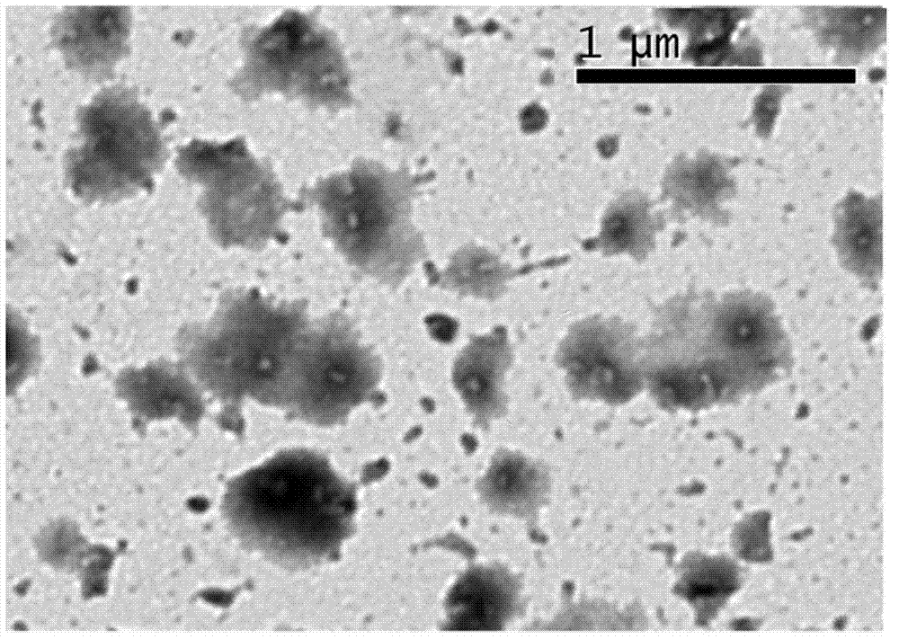 Application of chitosan serving as immuno-adjuvant in preparing mouse allergic asthma model