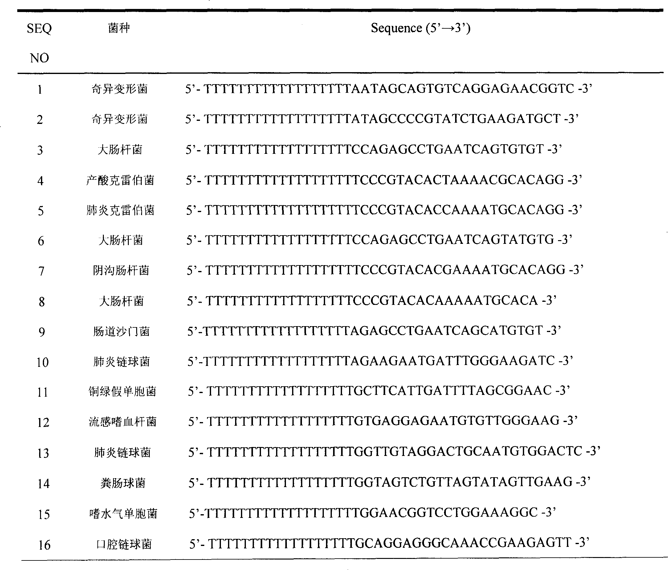 Method for identifying 28 frequent phathogenic bacteria for clinical bacteremia