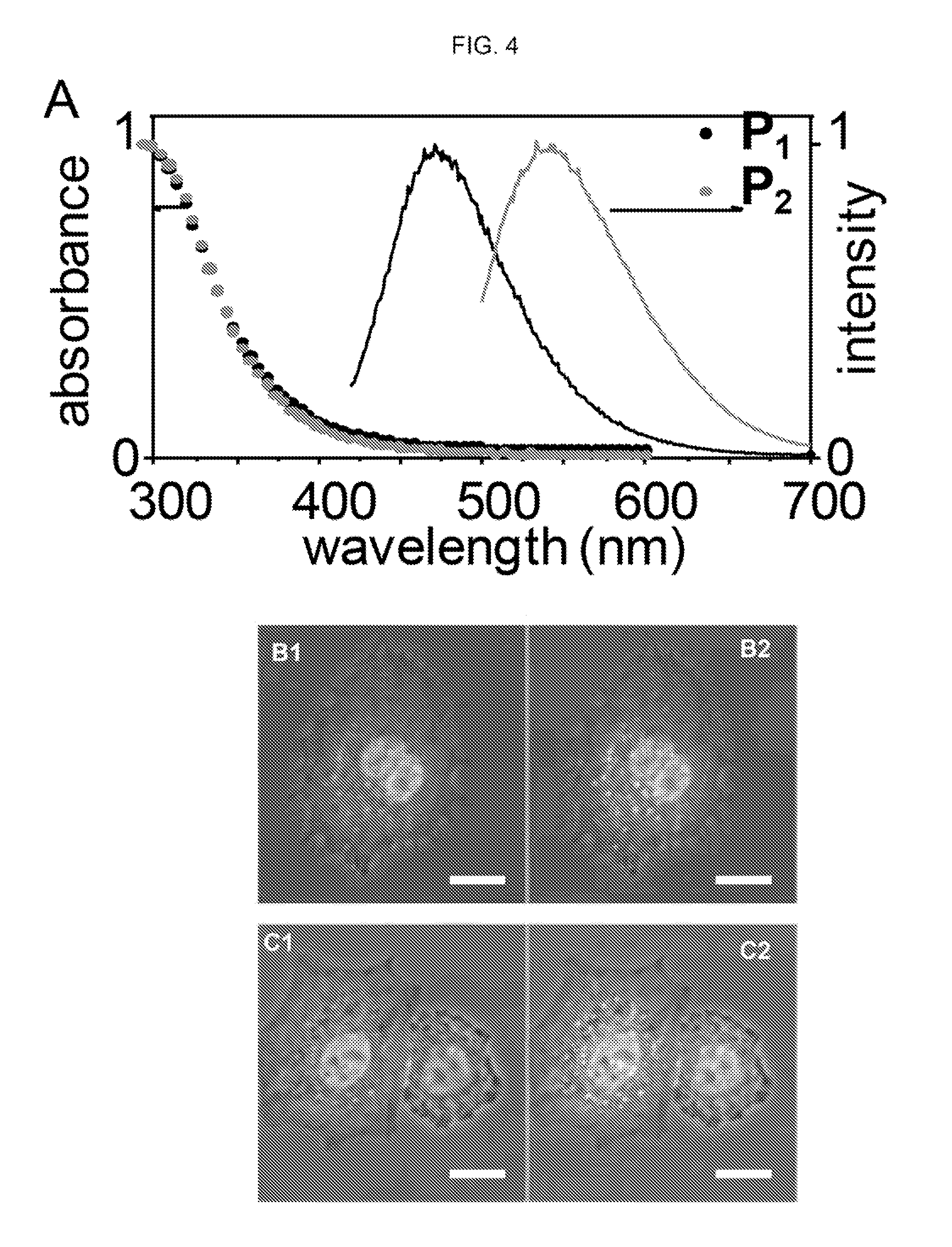 Single monomer derived linear-like copolymer comprising polyethylenimine and poly(ethylene glycol) for nucleic acid delivery