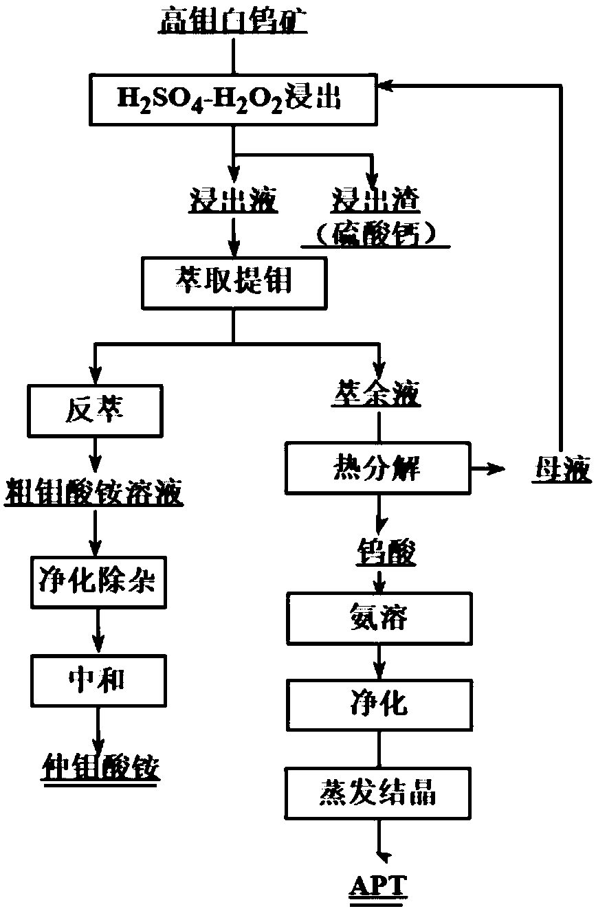 Method for extracting tungsten and molybdenum by decomposing high-molybdenum scheelite