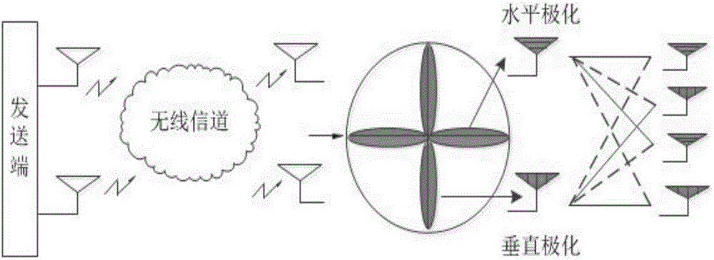 Wireless channel measuring data analyzing method based on dual-polarized MIMO (Multiple-InputMultiple-Output)