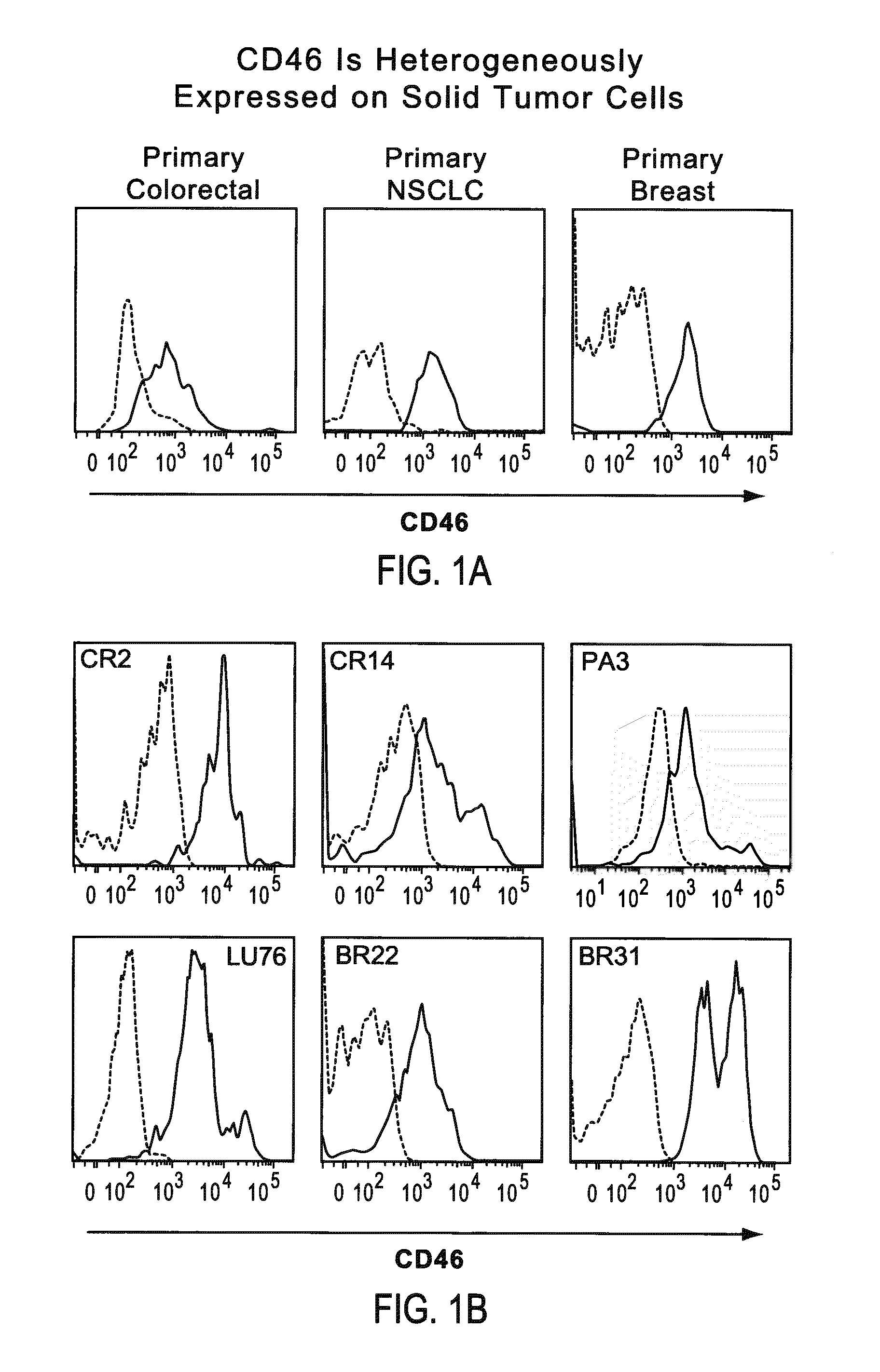 Identification and Enrichment of Cell Subpopulations