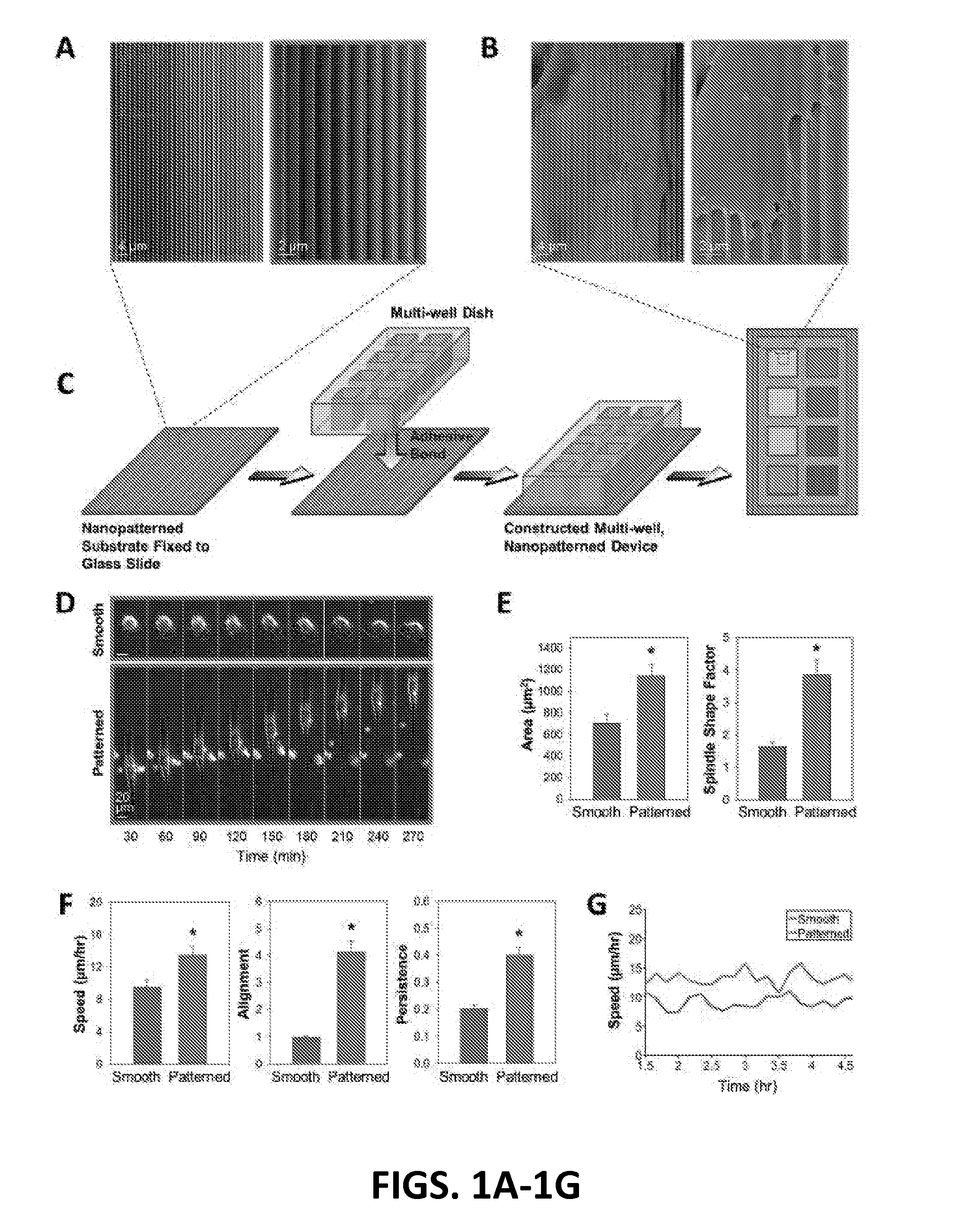 A novel, high-throughput, nanotopographic platform for screening cell migratory behavior