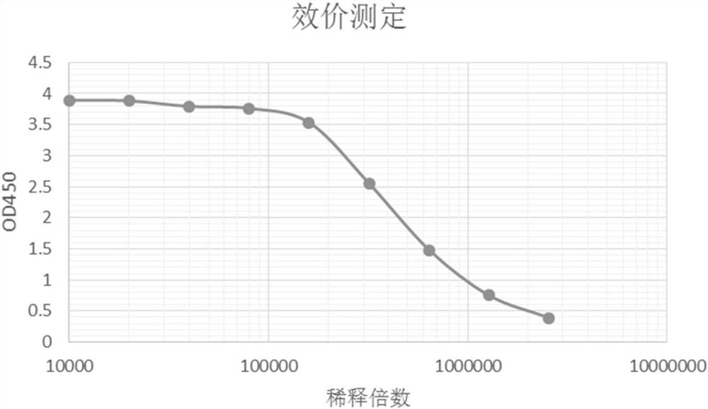 A kind of anti-Aspergillus galactomannan monoclonal antibody and its application