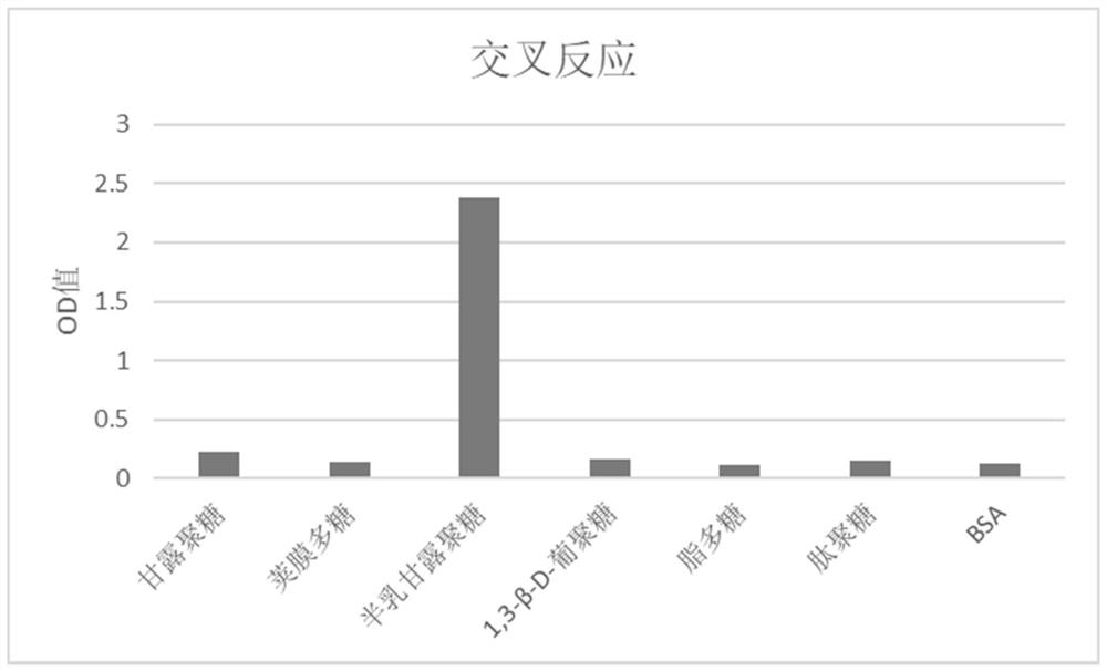 A kind of anti-Aspergillus galactomannan monoclonal antibody and its application