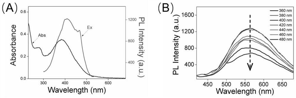 Carbon dot for detecting progesterone and progesterone detection method