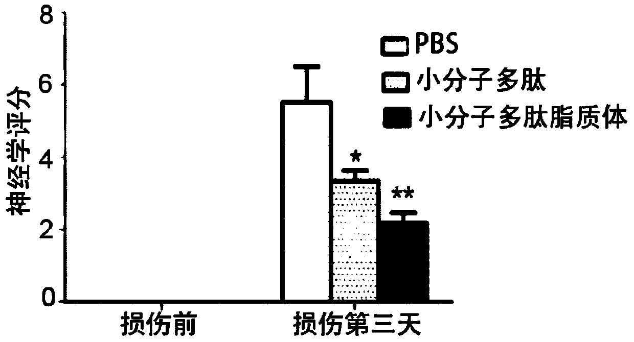 Application of Small Molecule Peptides Inhibiting Neuron Apoptosis