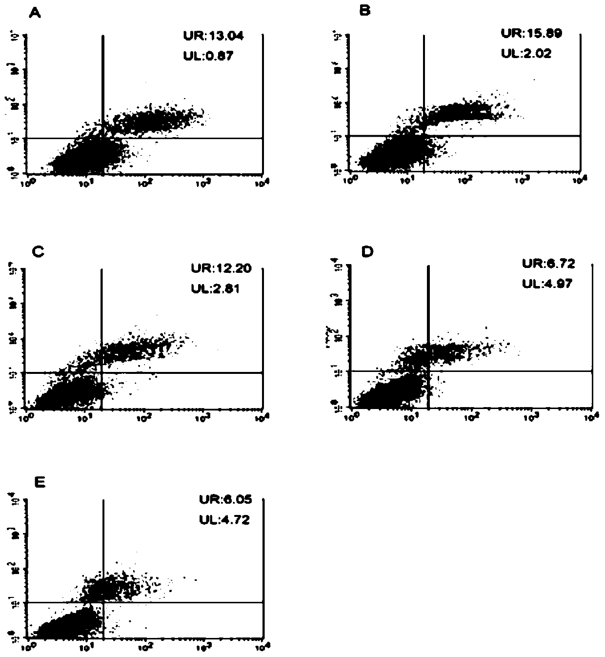 Application of Small Molecule Peptides Inhibiting Neuron Apoptosis