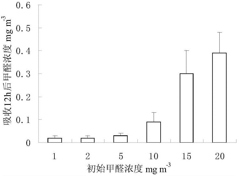 Taxus chinensis potted plants with function of efficiently absorbing indoor formaldehyde cultivated by earthworm dejecta substrate and preparation method thereof and application