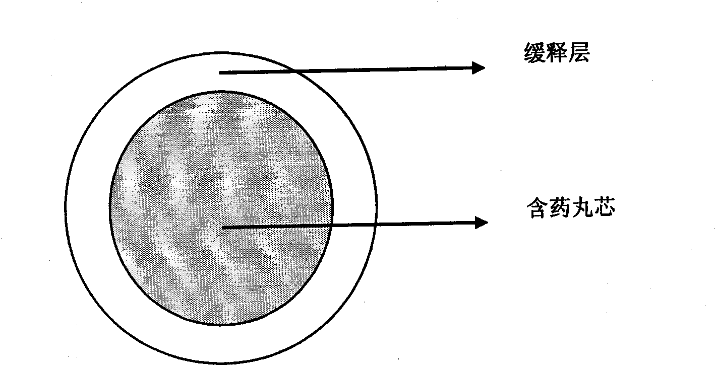 Zolpidem tartrate controlled-release pellet and preparation method thereof