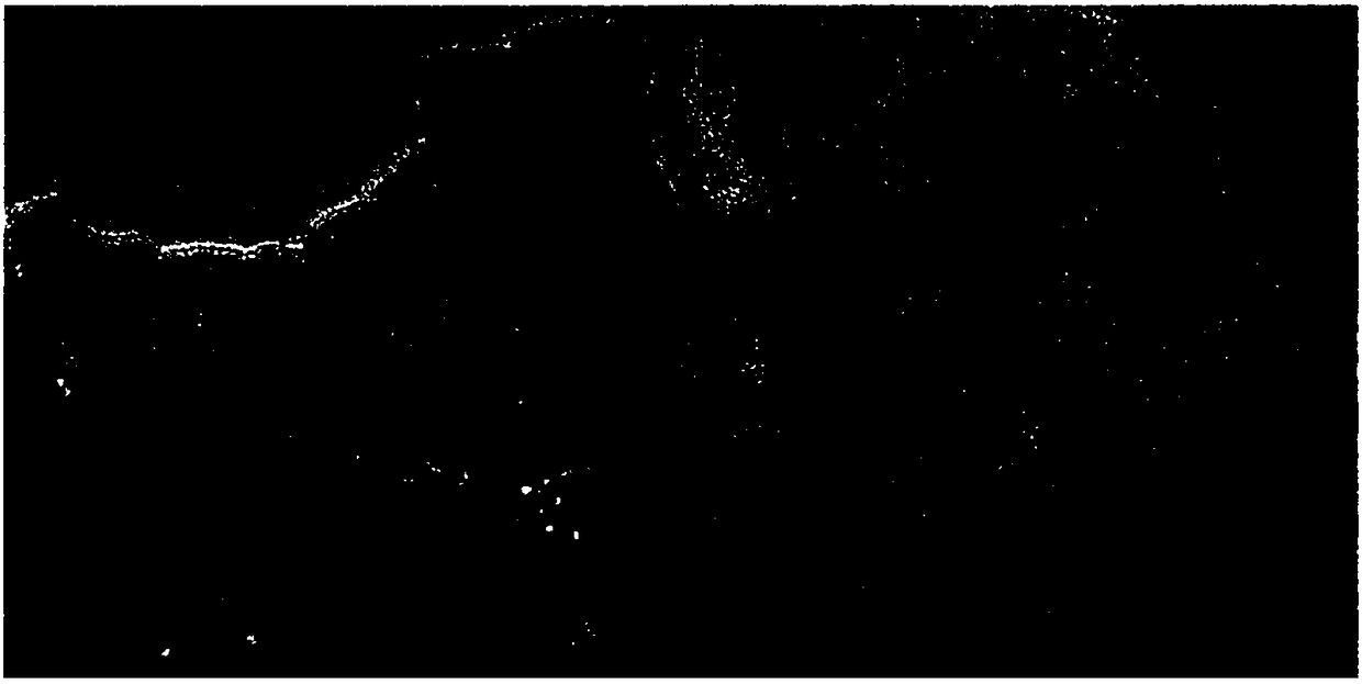 Preparation method of Bi-Bi3NbO7 composite photocatalyst and Bi-Bi3NbO7 composite photocatalyst