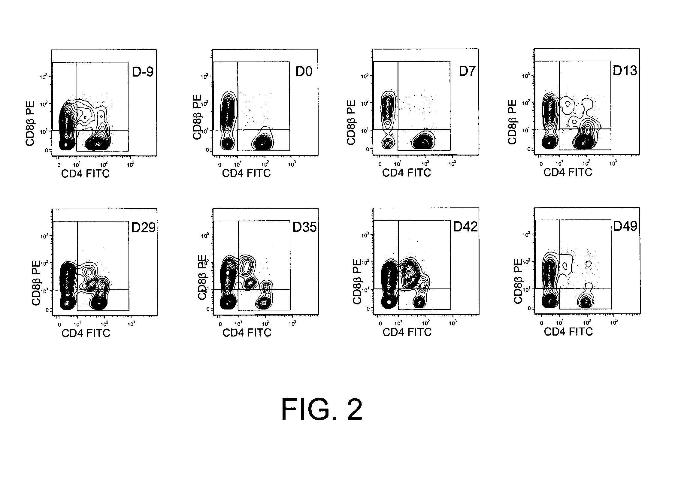 Methods for the Diagnosis and Prognosis of Graft Versus Host Disease By Measurement of Peripheral Cd3+Cd4+Cd8Beta+ Cells