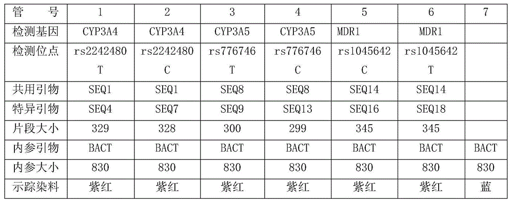 Primers for detecting polymorphism of CYP3A4, CYP3A5 and MDR1 genes with ARMs-PCR (amplification refractory mutation system-polymerase chain reaction) method and prepared kit