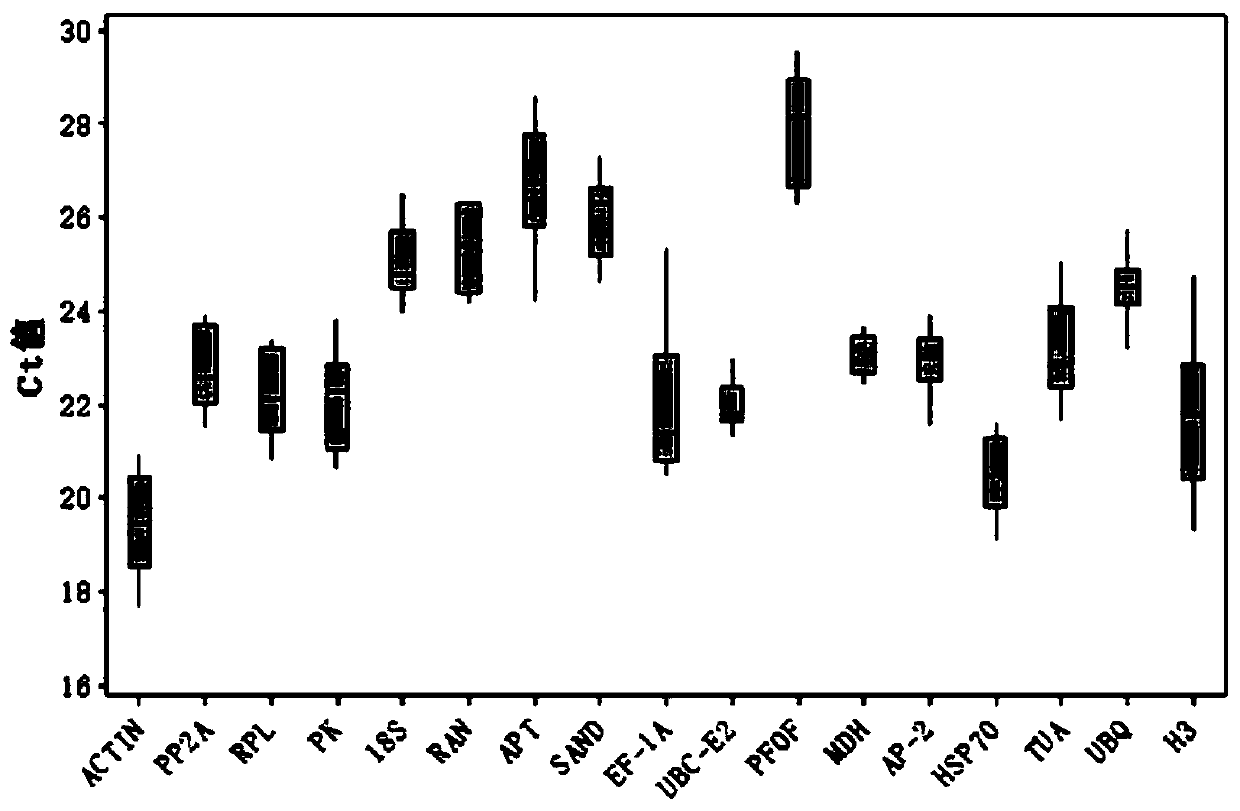 Fluorescent quantitative internal reference genes and their special primers and applications under waterlogging stress in Changshan, Haizhou