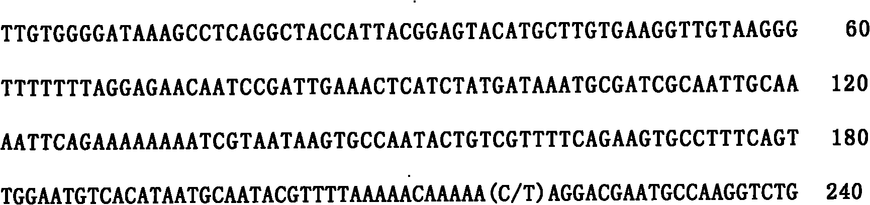 PPAR (Peroxisome Proliferator-Activated Receptor) alpha gene and application thereof as goose fat traits genetic markers