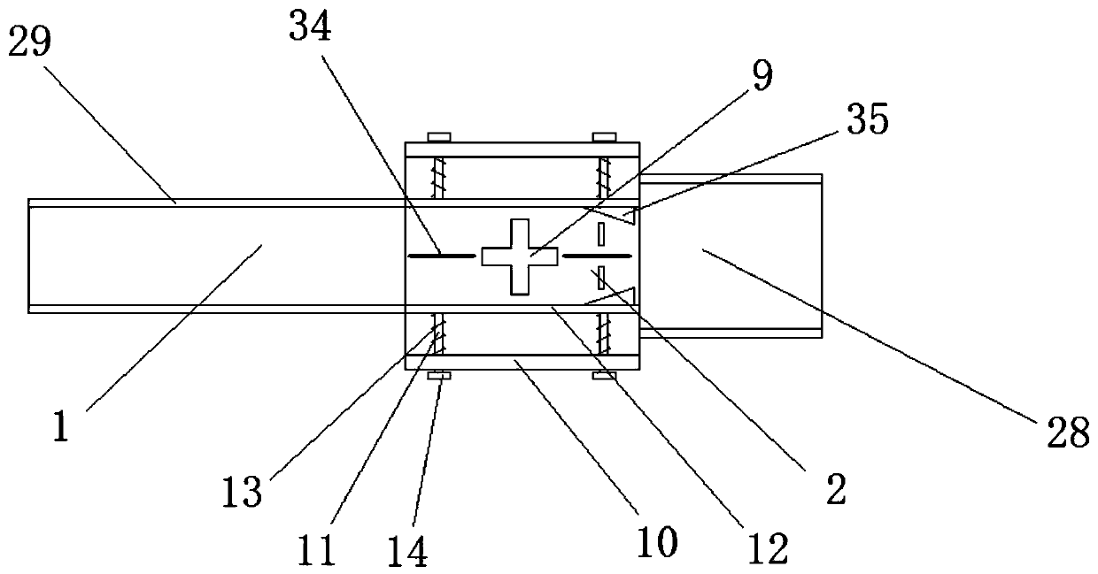 Pretreatment device for aquatic product before salting