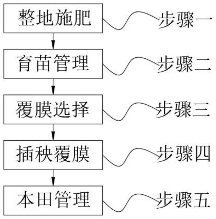 Rice film mulching and mechanical transplanting integrated cultivation method