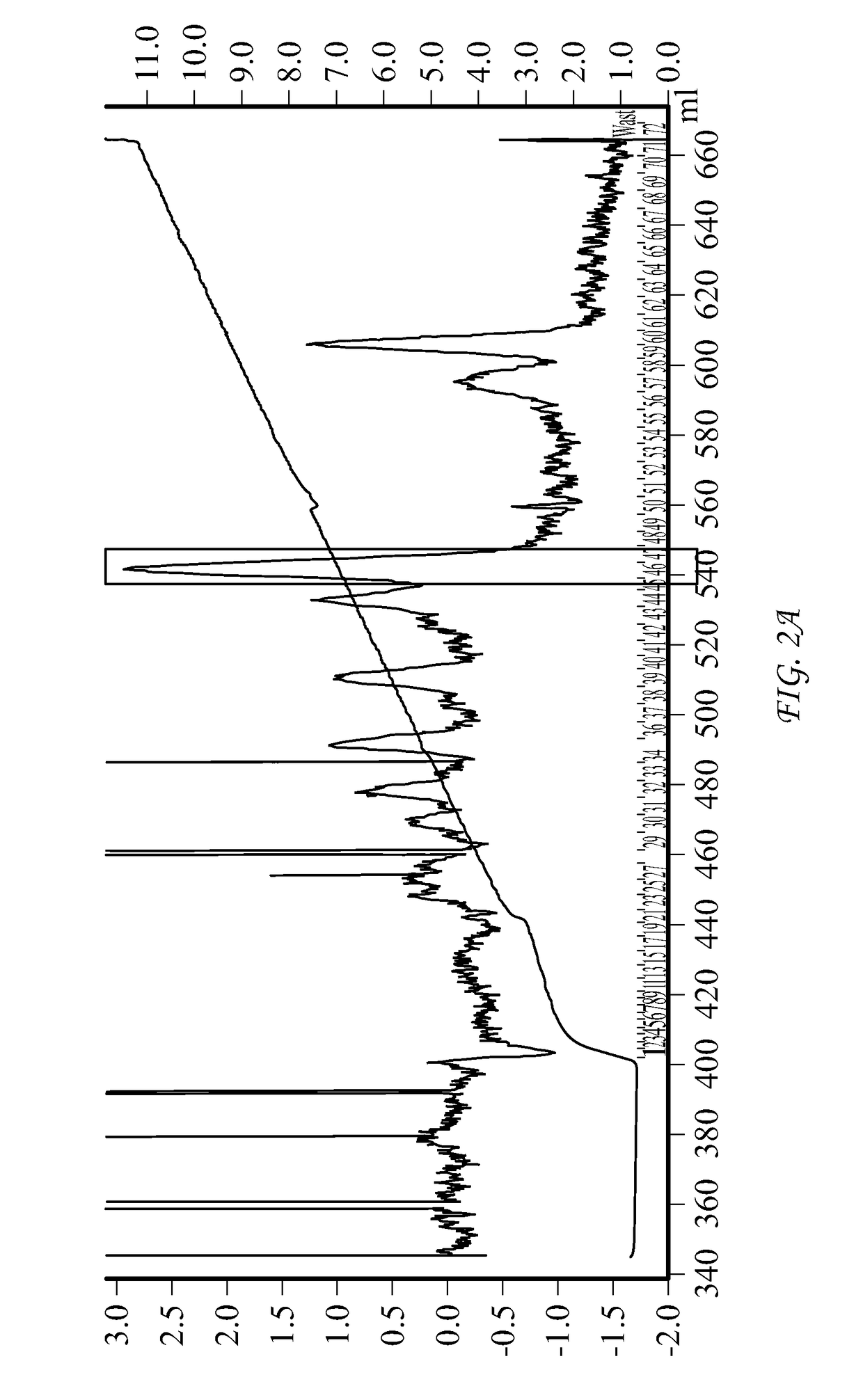 Conjugate Comprising Oxyntomodulin And An Immunoglobulin Fragment, And Use Thereof