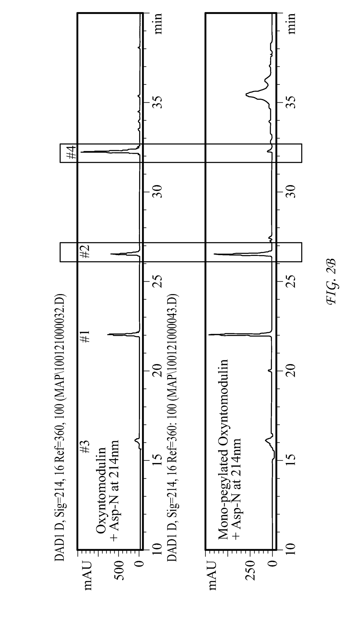 Conjugate Comprising Oxyntomodulin And An Immunoglobulin Fragment, And Use Thereof