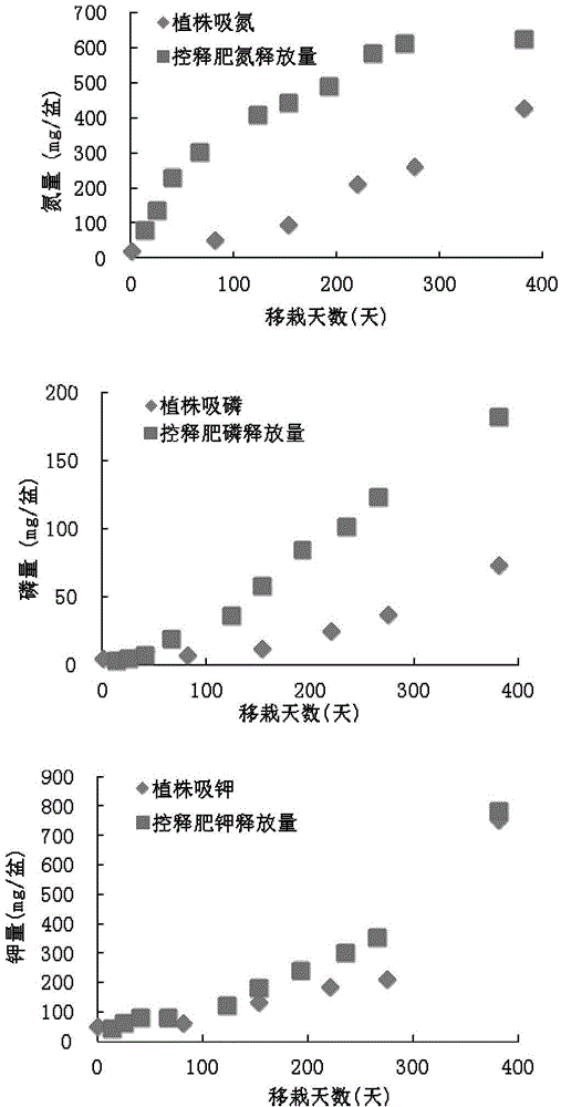 Coated release-controlled fertilizer of pot-cultured anthurium and preparation method thereof