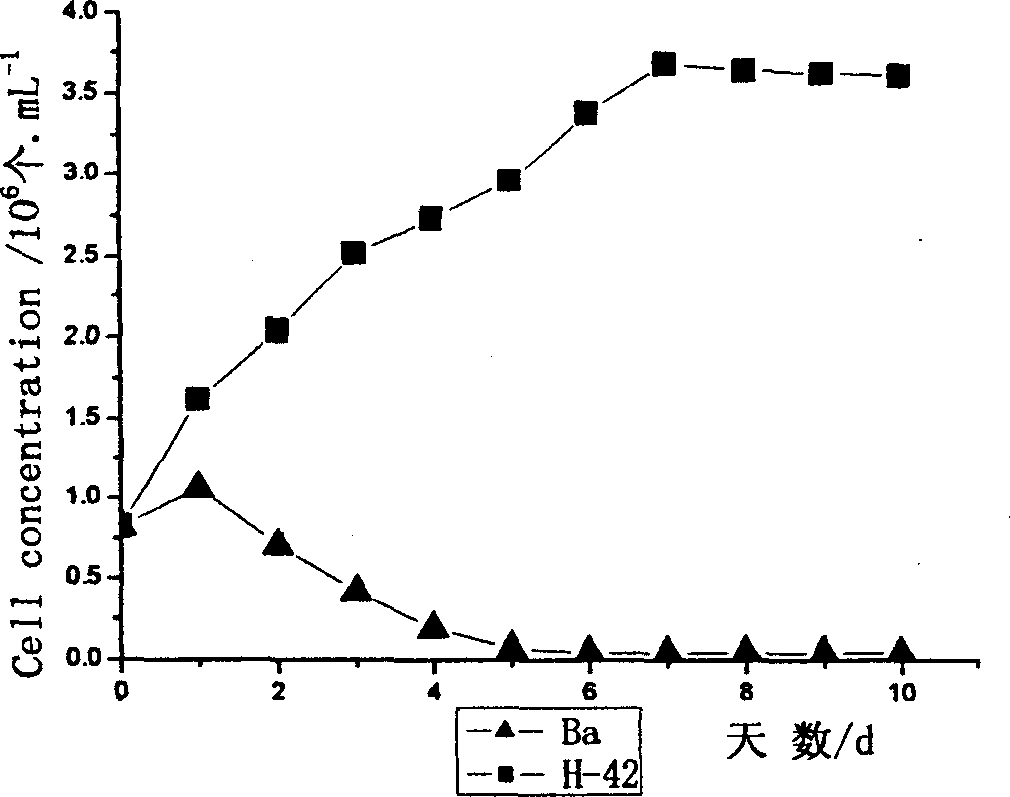 Mutagenic breeding method of high temperature resistant pasteur Du algae