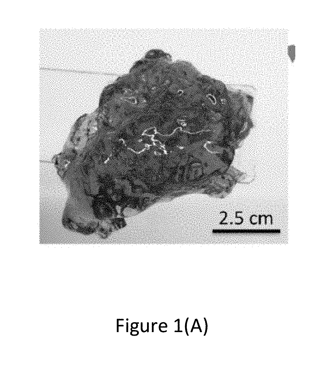 Process for forming a substance with a superstructure and Application Thereof