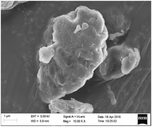 Method for synthesizing dual-esterified 3,4,5-trihydroxybenzoxy bagasse xylan benzoate