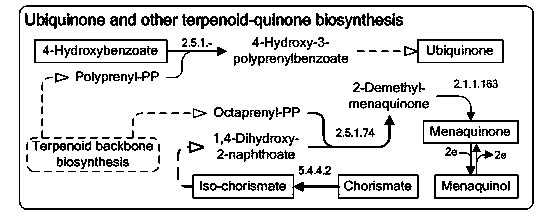 Method for repairing metabolic defects of ketogulonigenium sp. cofactors and improving 2-KGA (2-keto-L- gulonic acid) producing capacity