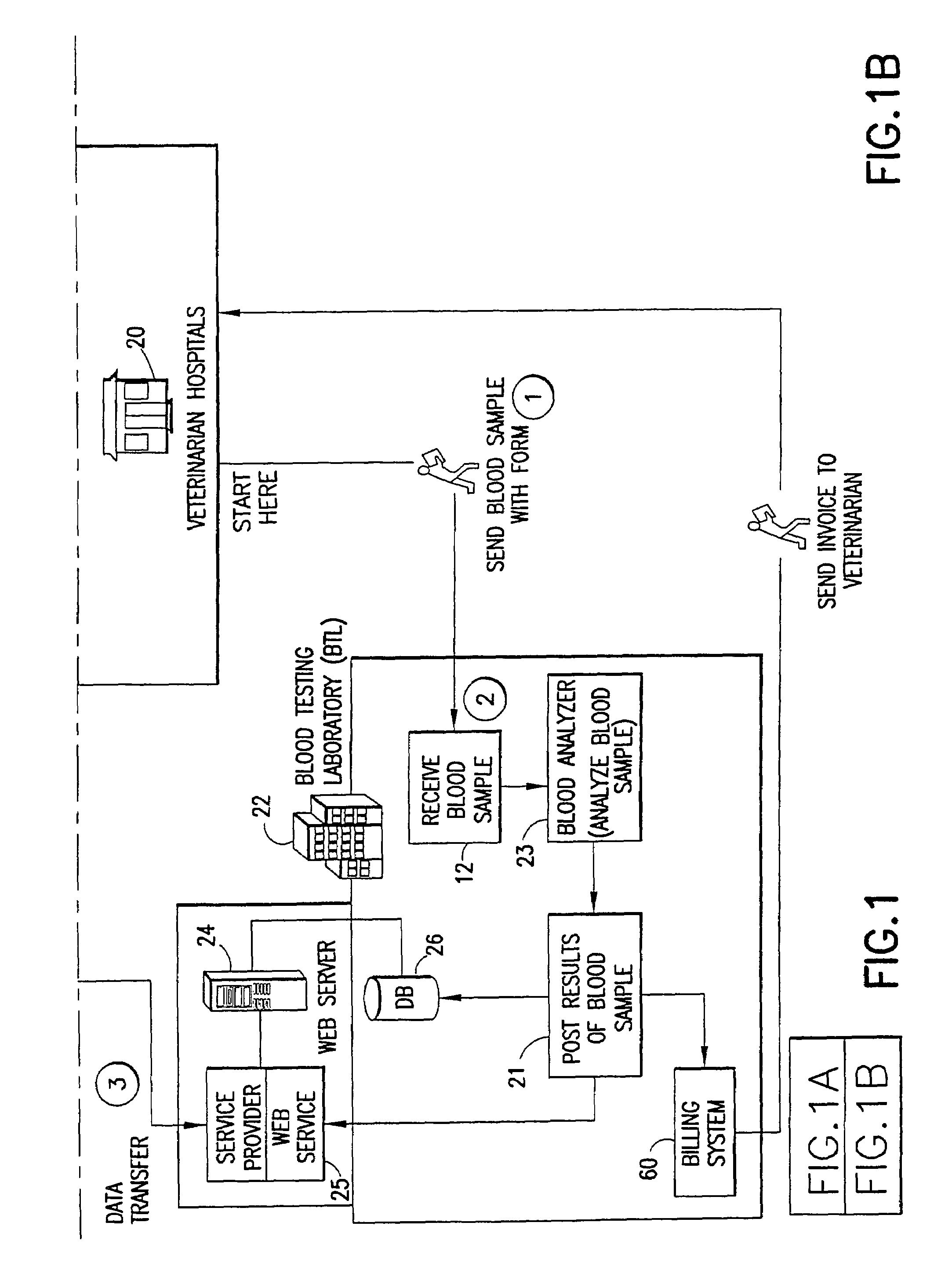 Methods and systems for providing a nutraceutical program specific to an individual animal