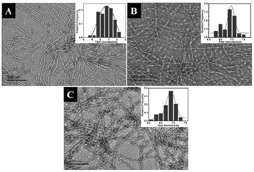 A kind of enzyme-responsive self-assembly peptide and its application