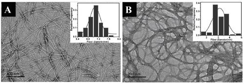 A kind of enzyme-responsive self-assembly peptide and its application