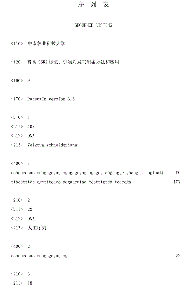 Zelkova SSR2 mark, primer pair as well as preparation methods and application thereof