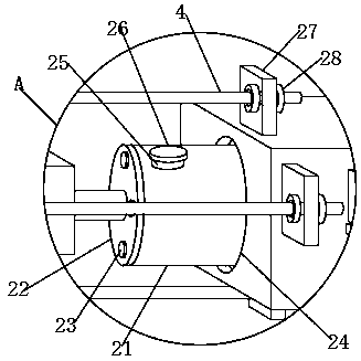 Hornet bee pupa rotating type drying device